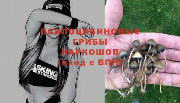 твердый Богородск
