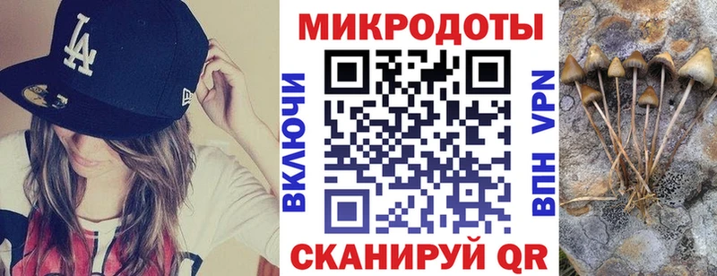 Псилоцибиновые грибы GOLDEN TEACHER  Купить где  Дрезна 